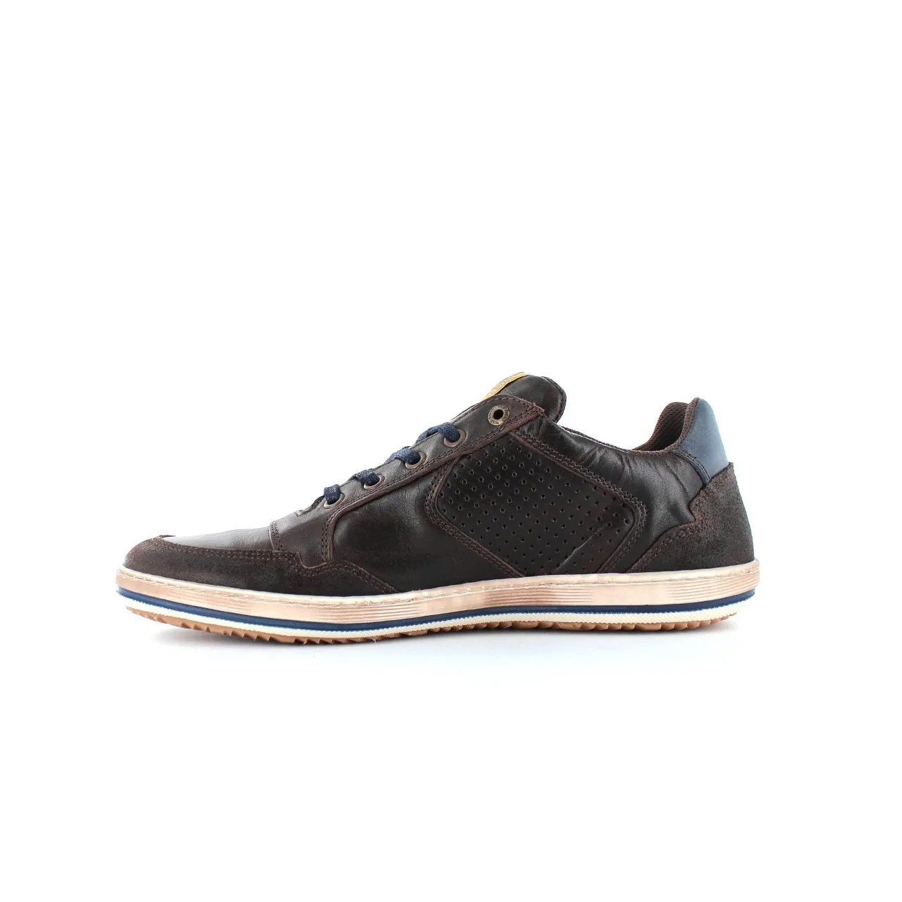 Wild Rhino Crest Shoe